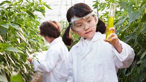 家庭亲子科学实验小游戏