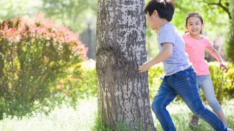 幼儿教育安全动画